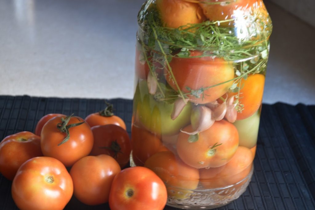 עגבניות מוחמצות במלח - עם שמיר ושום - דינה דיש